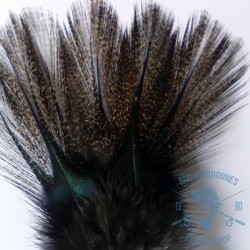 Pardo corzuno oscuro