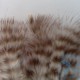 Plumas de Mini Marabou Grizzly