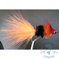 Mosca Lago AGC Nº16