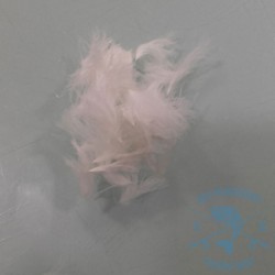 CDC PUFF