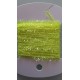 cactus chenille