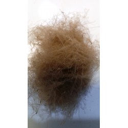 Dubbing de CULO DE PATO natural AGC