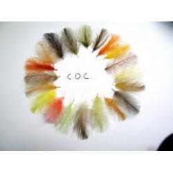 Pluma de culo de pato de colores AGC