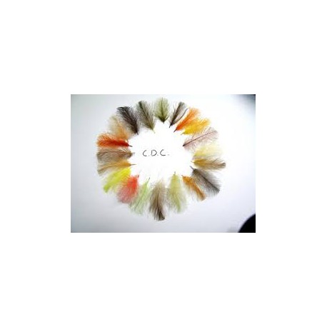 Pluma de culo de pato de colores AGC