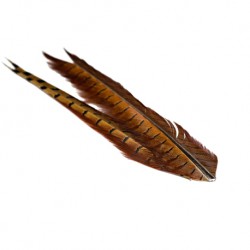 Pluma faisan color natural AGC