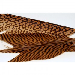 Pluma faisan Dorado color natural AGC
